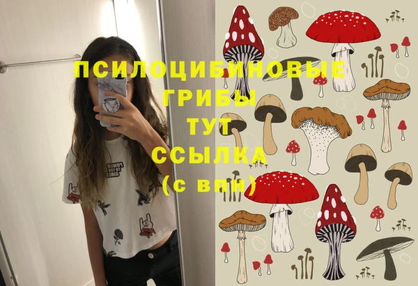 дмт Заволжск