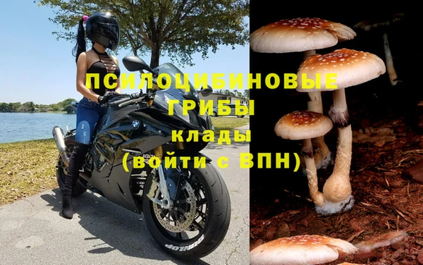 эйфоретик Заводоуковск